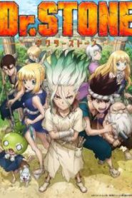 Dr. Stone