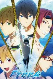 Free!