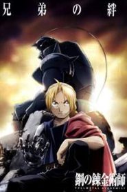 Fullmetal Alchemist