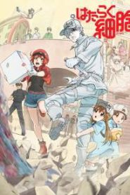 Hataraku Saibou