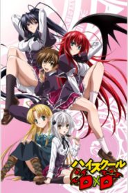 High School DxD