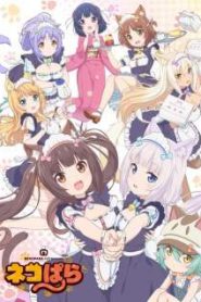 Nekopara