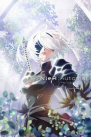 NieR Automata