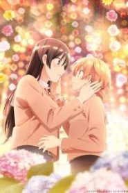 Yagate Kimi ni Naru